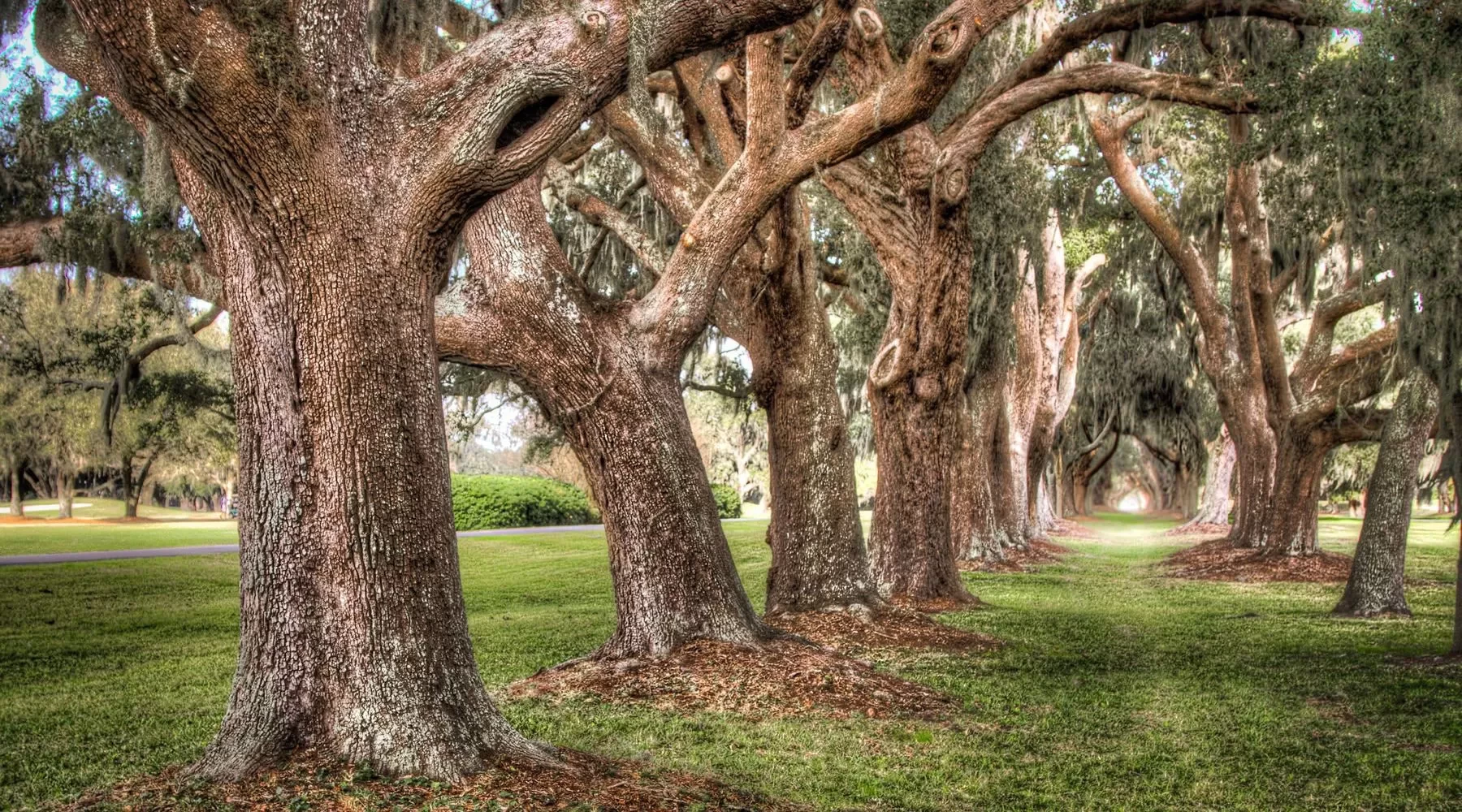 This community is our home